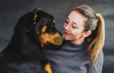 blog-grid-1-410x308